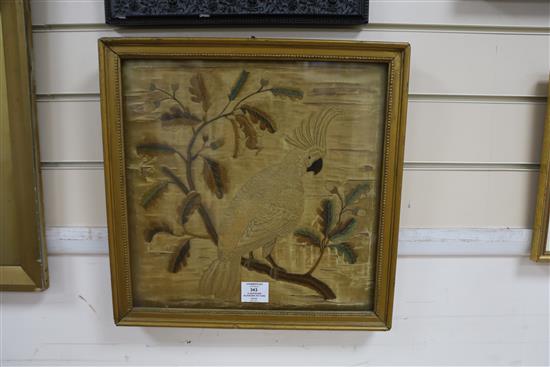 A Georgian silkwork picture of a parrot on a perch, framed, 36cm sq.